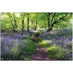 Wallario Gartenposter ca. 80 x 120 cm Blaues Hasenglöckchen im Wald