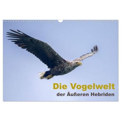 Die Vogelwelt der Äußeren Hebriden (Wandkalender 2026 DIN A3 quer), CALVENDO Monatskalender