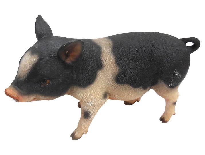 Home and More Ferkel Babe