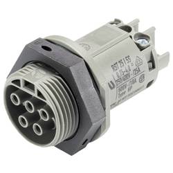 Wieland Electric 96.051.5054.3 Geräteanschluss