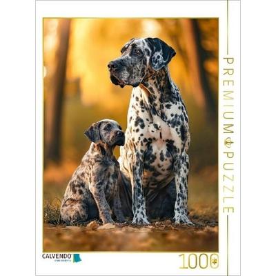 CALVENDO Puzzle Deutsche Dogge, traute Zweisamkeit | 1000 Teile Lege-Größe 64x48cm Foto-Puzzle für glückliche Stunden, Sonstige von , Calvendo Puzzle