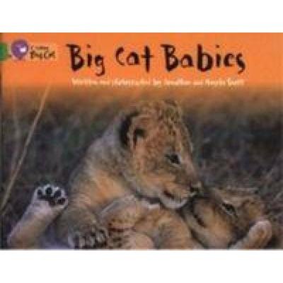Big Cat Babies, Taschenbuch von Angela Scott,Jonathan Scott, Collins Childrens Books, 978-0-00-718594-8
