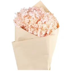 Chic Antique Fleur getrocknete Hortensie Blume, L60 cm, koralle