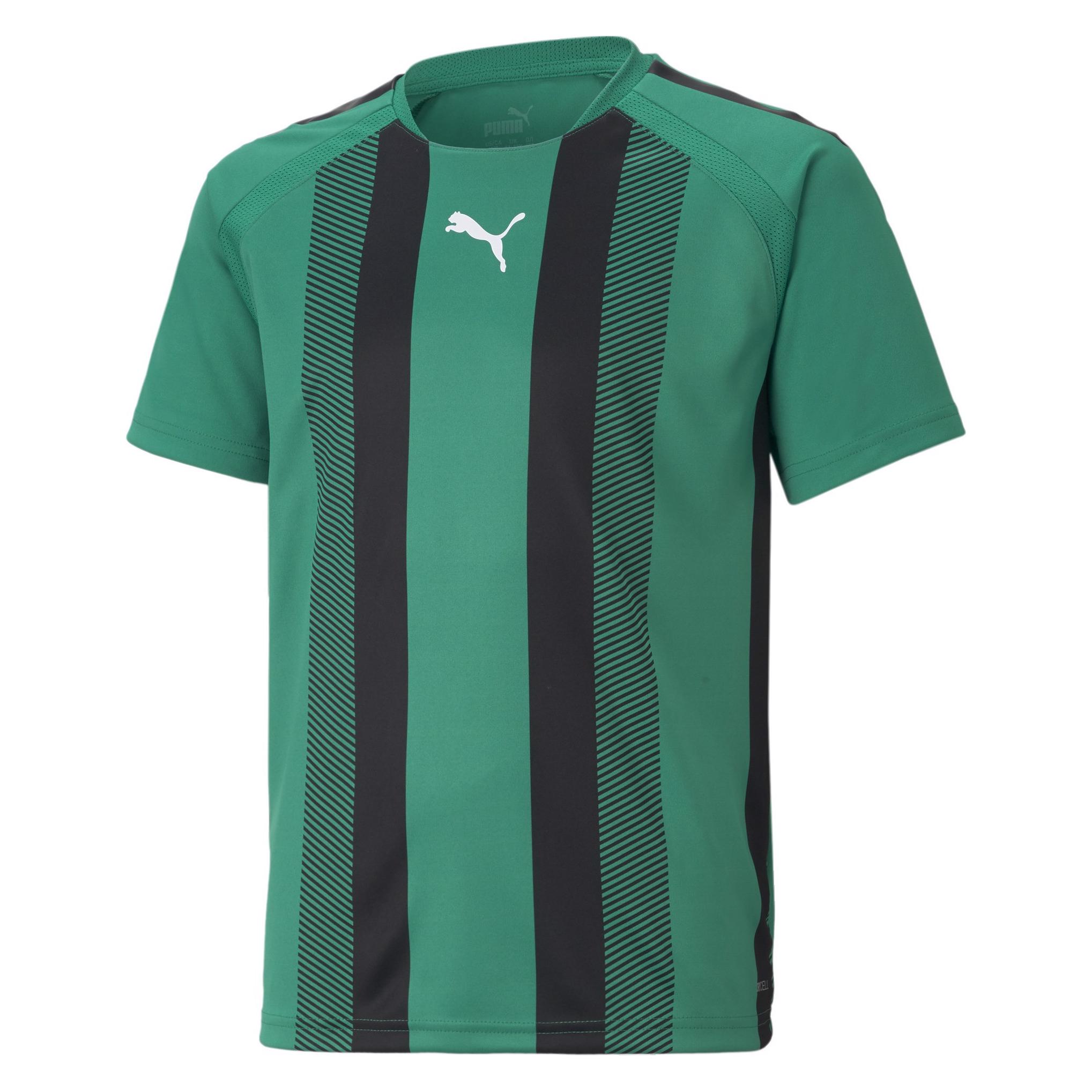 Puma teamLIGA Striped Jersey Jr-704927 (164) (704927_05)