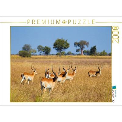 CALVENDO Puzzle Rote Lechwe-Antilopen, Okavango Delta, Botswana. | 2000 Teile Lege-Größe 90x67cm Foto-Puzzle für glückliche Stunden