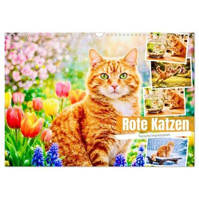 Rote Katzen (Wandkalender 2027 DIN A3 quer), CALVENDO Monatskalender