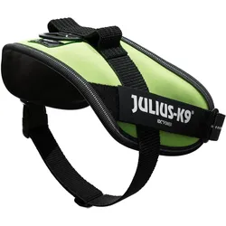 Julius-K9 IDC Geschirr für kleinere Hunde ergonomisch (M, Hund, Allgemein), Halsband + Leine
