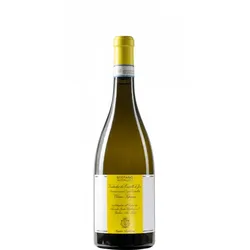 Verdicchio dei Castelli di Jesi Classico Superiore Santa Barbara 2024