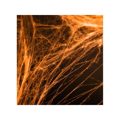 PartyDeco Spinnennetz in orange Halloween