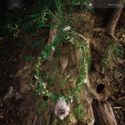 Maggot Mass - Pharmakon, CD