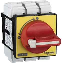 Schneider Electric, Systemstromversorgung, Trennschalter  63A