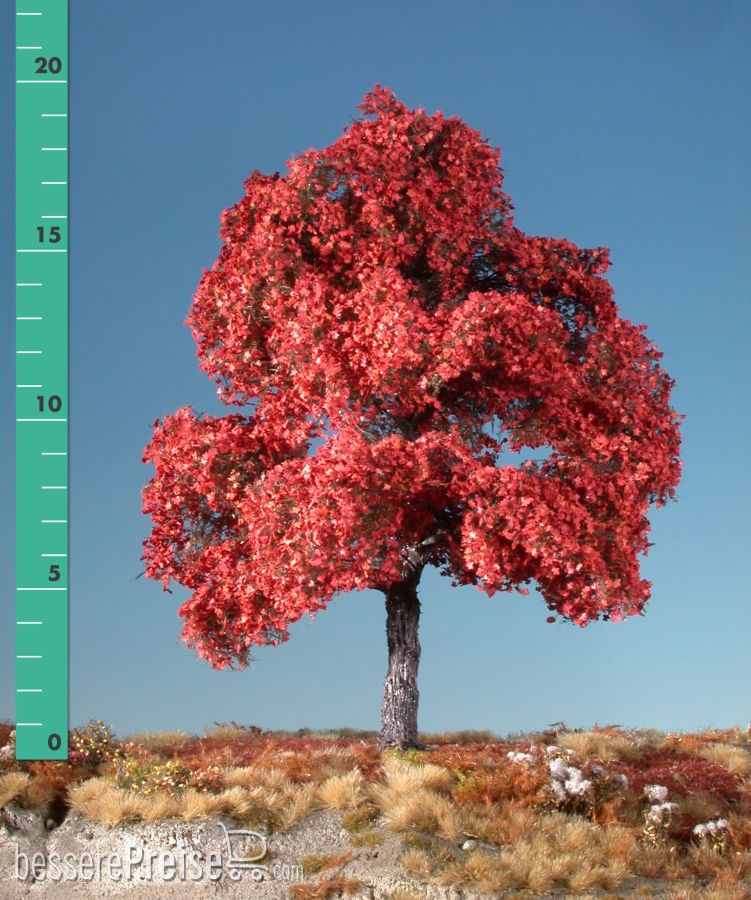 Silhouette 230-25