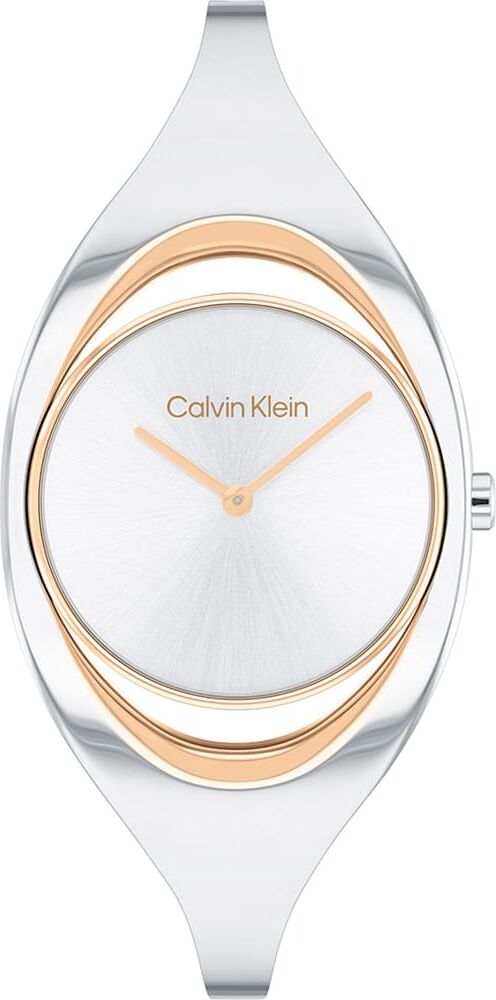 Montre Calvin Klein  - 25200424 Homme
