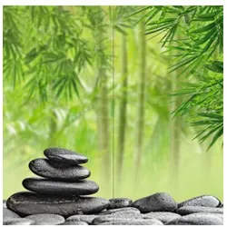 DM-WIN Duschmeister Duschrückwand Motiv Set Wellness - Duschkabine