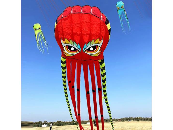 Cerf-volant pieuvre souple en nylon, 8m, 5 couleurs, cerf-volant de plage, compétition, performance, GT