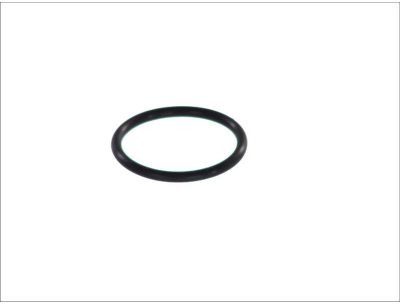 Dichtring DT Spare Parts 2.10327