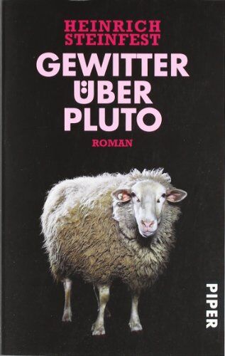 Heinrich Steinfest - Gewitter über Pluto: Roman - Preis vom 18.10.2026 19:22:15 h