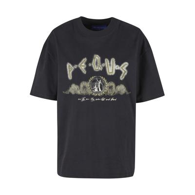T-Shirt PEQUS "PEQUS PEQUS Ancient Painting T-Shirt", Damen, Gr. M, schwarz, 100% Baumwolle, bedruckt, loose fit, Rundhals, Shirts T-Shirt