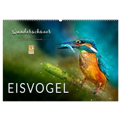 Wunderschöner Eisvogel (Wandkalender 2027 DIN A2 quer), CALVENDO Monatskalender