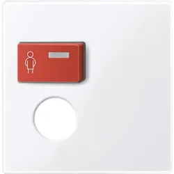 Merten Zentralplatte aws/gl 450225