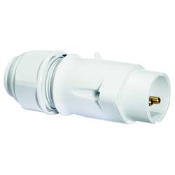 Bals Elektrotechnik 4423 4423 CEE Stecker 16.0 A 2polig 50 V 1 St.
