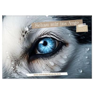 Schau mir ins Auge (Wandkalender 2027 DIN A2 quer), CALVENDO Monatskalender