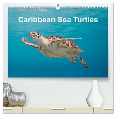 Caribbean Sea Turtles (High Quality Premium Wall Calendar 2026 DIN A2 landscape),CALVENDO 12 Month Wall Calendar