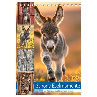Schöne Eselmomente (Tischkalender 2027 DIN A5 hoch), CALVENDO Monatskalender