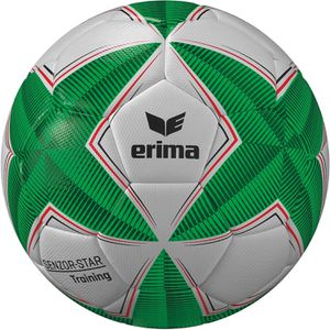 Erima Fußball Senzor-Star Training 2.0 FIFA Basic, 7192502, Größe 4, 350 Gramm, weiß/grün, Trainingsball