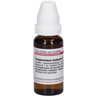Sempervivum tectorum Urtinktur 20 ml Dilution