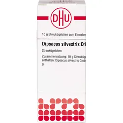 Dipsacus Silvestris D12 10 G