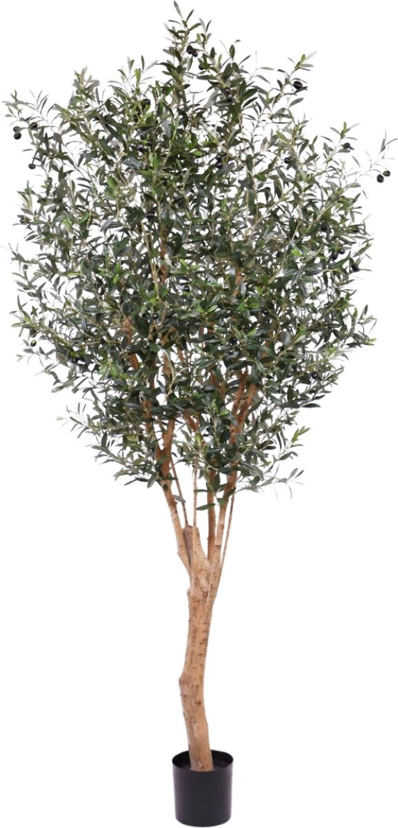 Olijf Deluxe kunstboom 250 cm