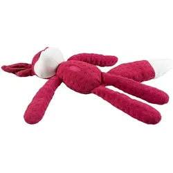 Duvoplus Renard crackle & snuffle (Plüschspielzeug Hund), Hundespielzeug
