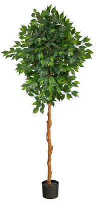 Nearly Natural "6' Ficus Artificial Tree - 6"""