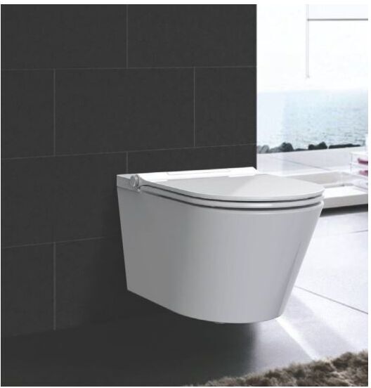 AqvaZone Aqva ceramica Dusch-WC Komplettanlage weiß, spülrandlos
