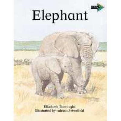 The Lion and the Mouse South African Edition, Taschenbuch von Gerald Rose, Cambridge University Press, 978-0-521-62830-3