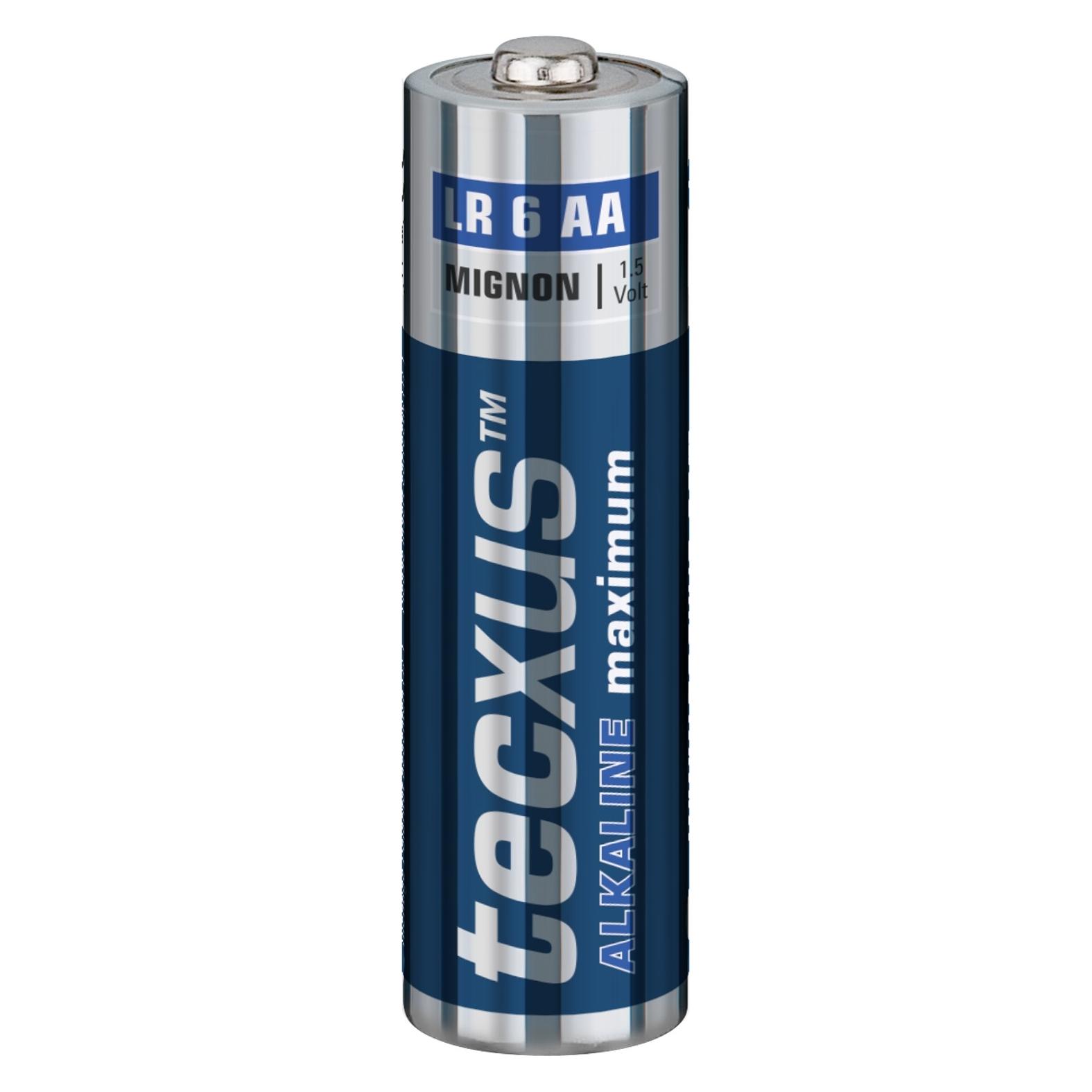 Tecxus LR6/AA Mignon (10 Stk., AA, 2700 mAh) (23761)