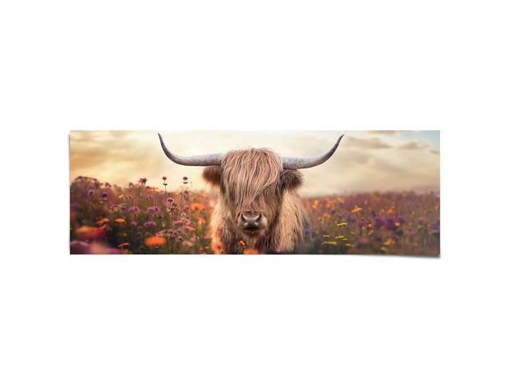 Poster REINDERS Spring Highlander , braun (farbe bild(er): braun), B:158cm H:53cm T:0,1cm, Bilder, Poster, Wohnzimmer - Schottischer Hochländer - Flora - 170 gr. Papier