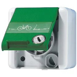 JUNG, Steckdose, 820 GN NAWSLEB SCHUKO Steckdose, 16 A 250 V mit E-Bik 820GNNAWSLEB