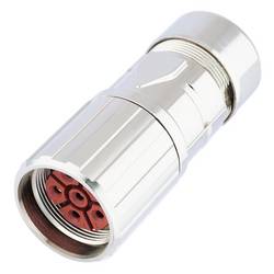 LAPP 73000029 Rundstecker 5 St.