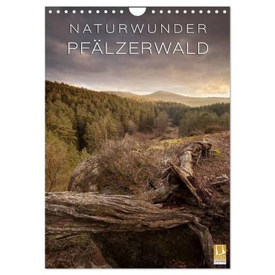 NATURWUNDER PFÄLZERWALD (Wandkalender 2026 DIN A4 hoch), CALVENDO Monatskalender