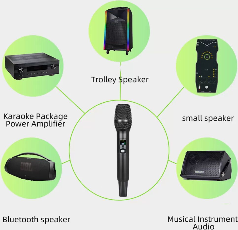 INF Système de microphone sans fil double : prêt pour le karaoké et la conférence