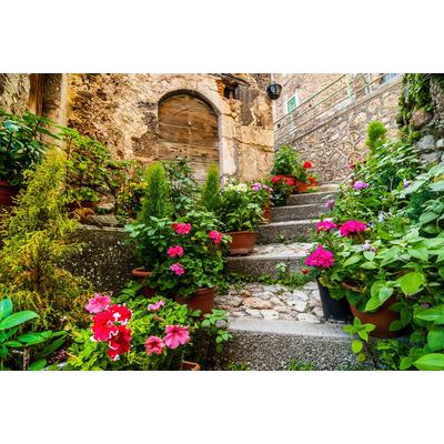 Fototapete PAPERMOON "Burg mit Blumen", bunt, B:2,5m L:1,86m, Vlies, Tapeten