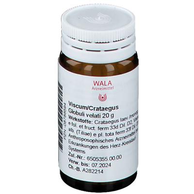 Viscum Crataegus Globuli 20 g