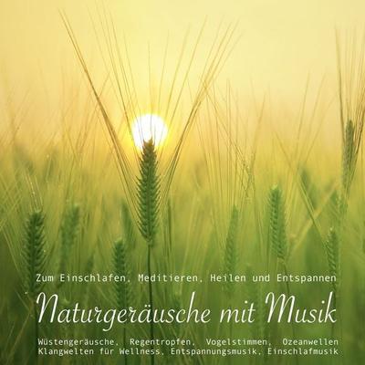 Entspannungsmusik: Naturgeräusche / Naturklänge mit traumhafter Musik zum Meditieren, Heilen und Relaxen - Yella A. Deeken, Audio, 4057664424594