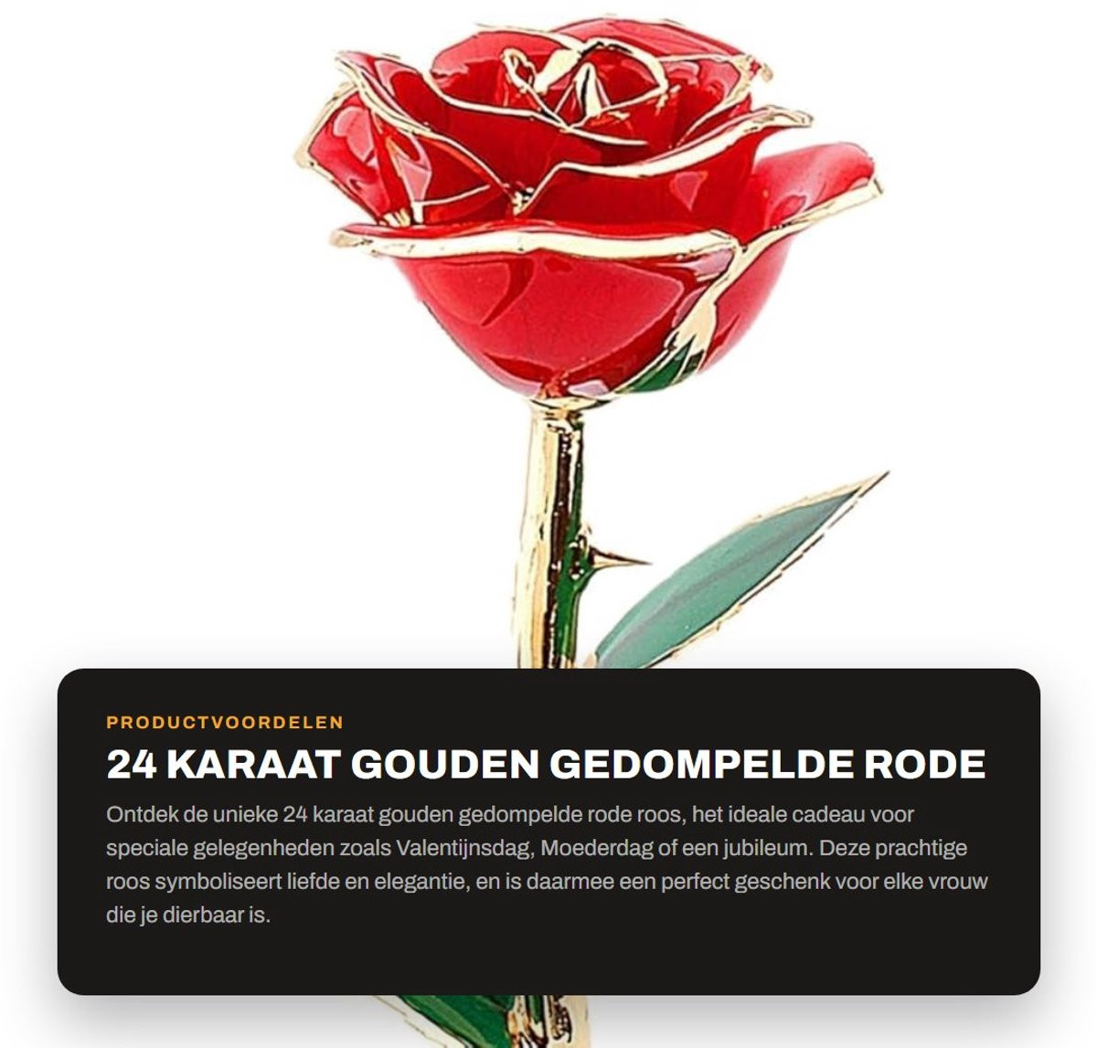 Dailygoods Gedompelde Roos 24 Karaat Goud