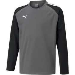 PUMA teamLIGA Training Sweatshirt Kinder smoked pearl/puma white 128