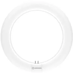 Ledvance LED Ring-Röhre "LED TUBE T9 C 22 EM V" Ø212mm 11W 840 KVG/VVG 230V 22W Ersatz