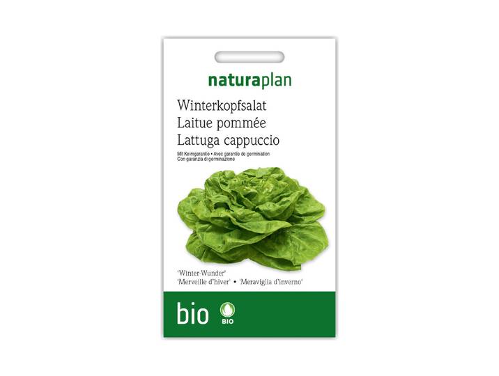 Naturaplan Bio-Kopfsalat Winterwunder