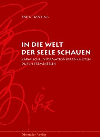Yang Tianying - In die Welt der Seelen schauen - Karmische Informationskrankheiten durch Fremdseelen - Preis vom 12.10.2026 11:37:12 h